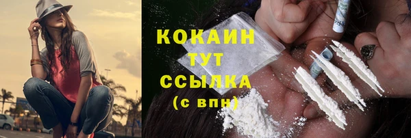 прущие грибы Вяземский