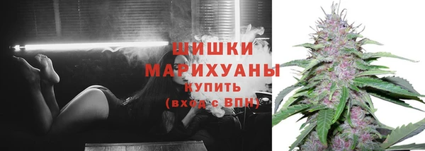 прущие грибы Вяземский