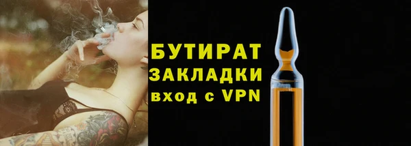прущие грибы Вяземский