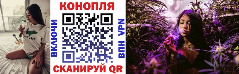 Бошки Шишки White Widow  где продают наркотики  Сургут 
